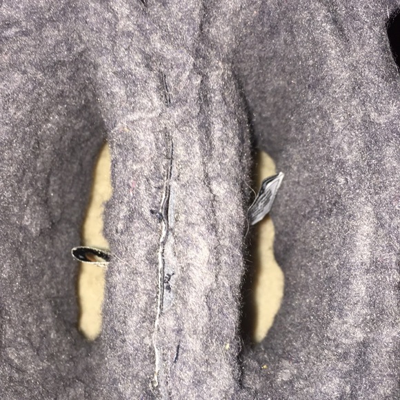 Beautiful grey Bearpaws - Picture 8 of 8